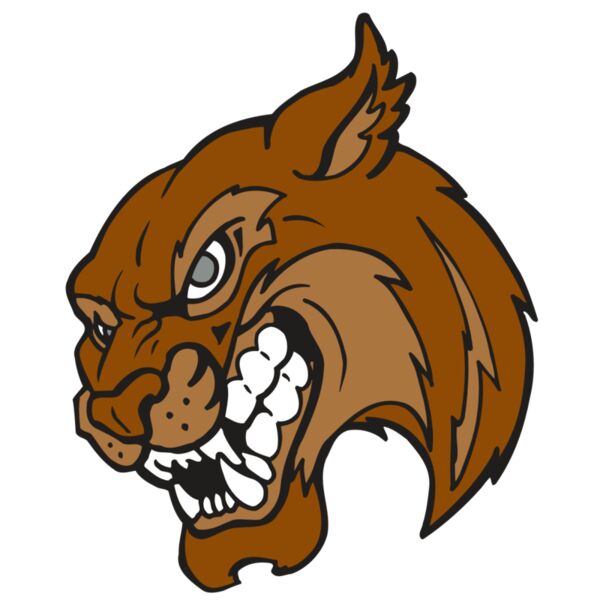 AR5 BOBCAT 07 RQC Thumbnail